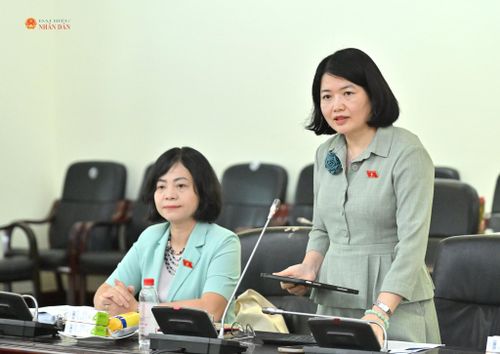 ĐBQH hoạt động chuyên trách tại Ủy ban Văn hóa và Xã hội Nguyễn Thị Mai Thoa phát biểu