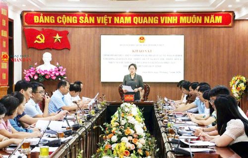 Phó Trưởng Đoàn ĐBQH chuyên trách tỉnh Điện Biên Lò Thị Luyến phát biểu tại cuộc làm việc