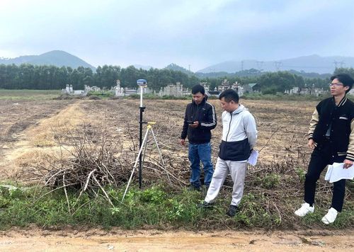 Nhiều diện tích đất trồng sắn đã được người dân bàn giao cho dự án Cụm công nghiệp Hương Xuân nhưng tiền đền bù lại chưa nhận được.
