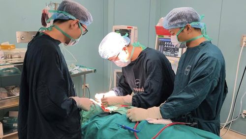 Các bác sĩ cẩn trọng thực hiện can thiệp. Ảnh: BVCC