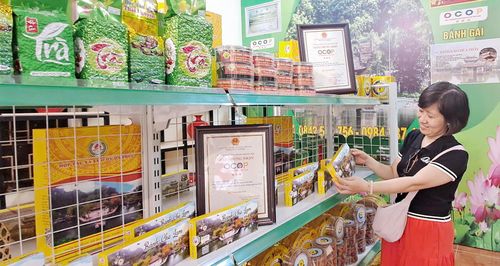 Du khách tham quan mua sắm sản phẩm OCOP tại xã Quốc Oai. Ảnh: Hoài Nam