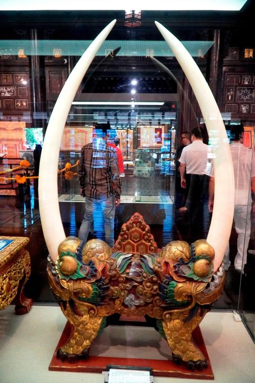  Bên cạnh hoạt động trưng bày, triển lãm còn là dịp kết nối các nhà sưu tập cổ vật với công chúng yêu di sản. Theo ông Hoàng Việt Trung, đây cũng là cơ hội để lan tỏa tình yêu di sản và nâng cao ý thức bảo tồn các giá trị văn hóa truyền thống. Trong ảnh là bộ ngà voi và đế gỗ tạo hình con lân thời Nguyễn. 