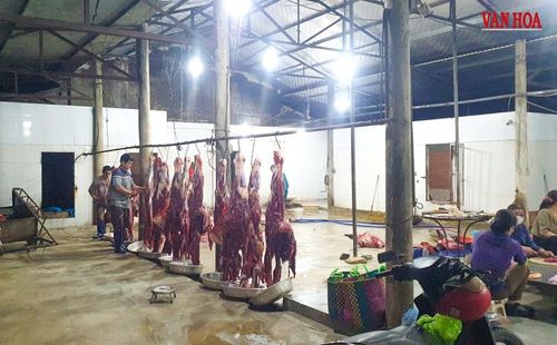Không được chi trả lương, cuộc sống của 37 cán bộ kiểm soát giết mổ rơi vào tình trạng lao đao, trong khi công việc kiểm soát dịch bệnh tại lò mổ không thể dừng dù chỉ 1 ngày