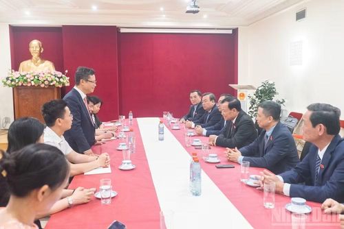 Đại sứ Việt Nam tại Pháp Trịnh Đức Hải phát biểu tại buổi làm việc.
