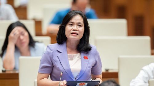 Bà Nguyễn Thị Hồng Hạnh, Thành ủy viên, Giám đốc Sở Tư pháp TPHCM