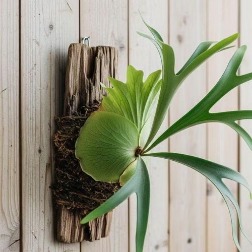 Ảnh: gardeneros