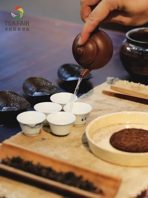 Lý do khiến ngành trà phải thay đổi đến từ chính những áp lực của thị trường. Dù doanh thu ngành trà lá Trung Quốc đã tăng từ gần 274 tỷ NDT năm 2019 lên hơn 334 tỷ NDT năm 2023 và dự kiến vượt 427 tỷ NDT vào năm 2028, thị trường vẫn bị phân mảnh với khoảng 70.000 doanh nghiệp lớn nhỏ. Người tiêu dùng có thể nhớ đến các loại trà nổi tiếng như Long Tỉnh, Thiết Quan Âm hay Phổ Nhĩ, nhưng rất ít thương hiệu đủ sức tạo dấu ấn mạnh mẽ. Trong khi đó, thế hệ trẻ lại có xu hướng lựa chọn trà sữa, cà phê và những sản phẩm đồ uống hiện đại hơn, khiến các doanh nghiệp trà truyền thống buộc phải tìm cách làm mới hình ảnh để giữ chân khách hàng.(Ảnh: Teafair)