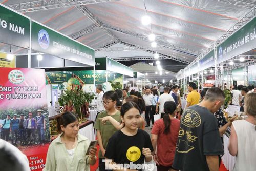 Đây là phiên chợ đầu tiên, mở màn cho chuỗi chương trình được duy trì định kỳ hằng tháng do Sở Công Thương TP. Đà Nẵng phối hợp với UBND phường An Hải và Hội Sâm Ngọc Linh Đà Nẵng tổ chức.