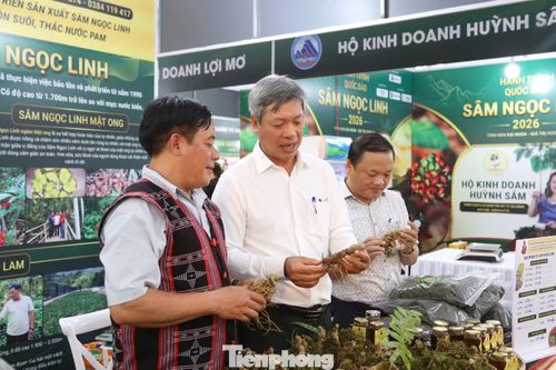 Theo ông Nguyễn Văn Lượng (đại diện một HTX Sâm Ngọc Linh ở xã Trà Linh), đây là lần đầu tiên HTX tham gia quảng bá sản phẩm ở khu vực trung tâm TP. Đà Nẵng. “Thông qua phiên chợ, tôi mong muốn có thể kết nối để có thể đầu tư chế biến sâu, nâng cao giá trị của các sản phẩm từ sâm Ngọc Linh, tạo tiền đề để tiếp cận được thị trường quốc tế”, ông Lượng nói.