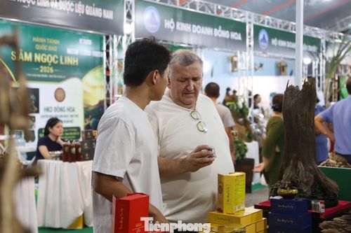 Với việc đưa sâm và dược liệu từ miền núi xuống phố du lịch, Sở Công Thương TP. Đà Nẵng kỳ vọng góp phần quảng bá giá trị của sâm Ngọc Linh và dược liệu Việt Nam, tạo không gian kết nối giữa doanh nghiệp, người dân và du khách.