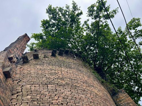 Không còn khói lò, nhiều khu vực phủ rêu, cây cỏ mọc trên mái vòm, tường lò.