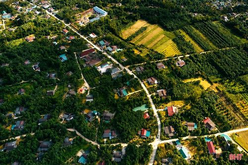 Xã Phúc Trạch được xem là "thủ phủ" trầm hương của Hà Tĩnh