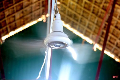 Việc chống nóng cho chồn cũng hết sức quan trọng. Trại được lợp bằng mái tranh, đồng thời lắp thêm quạt trần để giải nhiệt cho vật nuôi vào mùa nắng nóng.