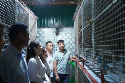 Mô hình nuôi chồn hương của tổ hợp tác được Hội Nông dân xã Cổ Đạm giới thiệu cho các hội viên tham quan, học hỏi.