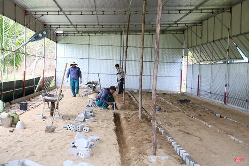  “Chúng tôi đang tiếp tục đầu tư mở rộng quy mô thêm 700 ô chuồng nuôi chồn hương để tăng đàn lên 1.000 con, đáp ứng nhu cầu thị trường và giải quyết việc làm cho lao động địa phương” – anh Chương cho hay. 