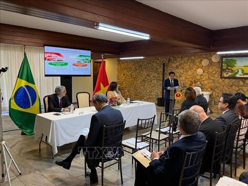 Đại sứ Việt Nam tại Brazil Bùi Văn Nghị phát biểu tại Tọa đàm. Ảnh: TTXVN phát