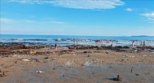 Đến chiều 11/7/2026, trải dọc suốt chiều dài của bãi biển Trà Cổ, đâu đâu cũng là rác, vỏ ốc, vỏ các loại thủy sản loài 2 mảnh.