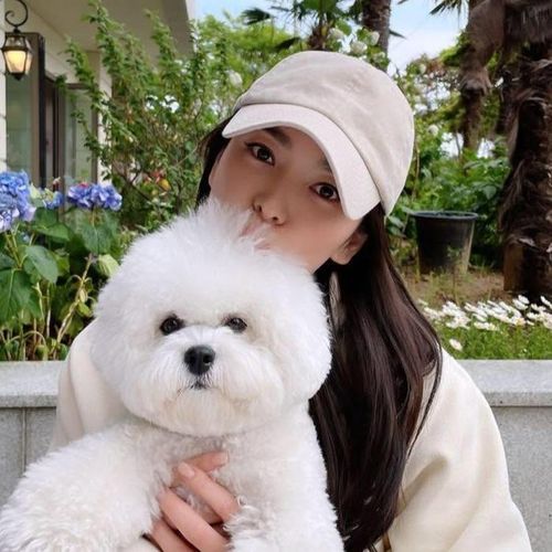 Song Hye Kyo dành tình yêu đặc biệt cho cún cưng Ruby vì giúp cô vượt qua nhiều giai đoạn khó khăn.