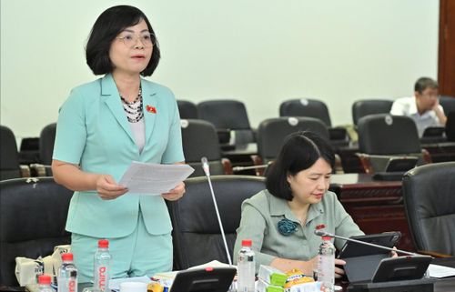 ĐBQH hoạt động chuyên trách tại Ủy ban Văn hóa và Xã hội Nguyễn Thanh Cầm tại phiên họp. Ảnh: Quang Khánh