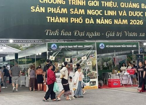 Khu vực chợ giới thiệu chương trình quảng bá sâm Ngọc Linh tại bờ Đông cầu Rồng nhận được sự quan tâm của đông đảo người dân và du khách. Ảnh Ngô Anh Văn