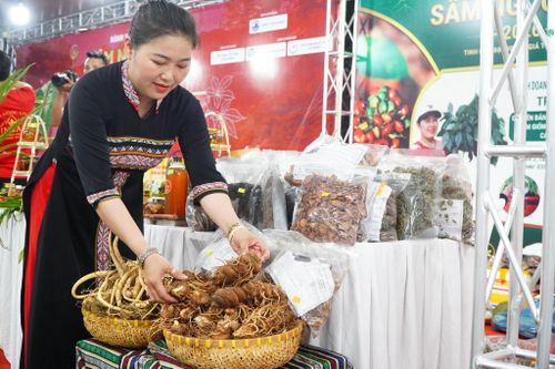 Ngoài sâm Ngọc Linh, nhiều dược liệu quý khác cũng được giới thiệu tại không gian chợ đêm. Ảnh: VINH ANH