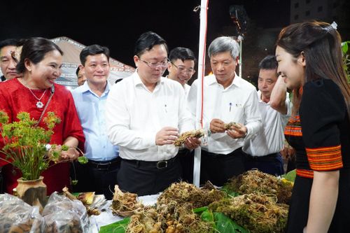 Lãnh đạo thành phố và các đại biểu tham quan gian hàng giới thiệu, quảng bá sản phẩm sâm Ngọc Linh và dược liệu. Ảnh: VINH ANH