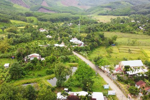 Trà Tân định hướng xây dựng lại các vùng trồng cây ăn quả hướng tới nhu cầu thị trường. Ảnh: PHAN VINH