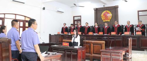 Ủy ban Thẩm phán Tòa án nhân dân thành phố Đồng Nai tổ chức xét xử giám đốc thẩm vụ án trên địa bàn.