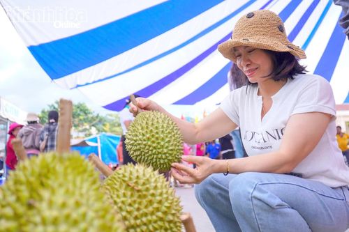 Sầu riêng là một trong những nông sản đặc trưng ở vùng cao Khánh Sơn.