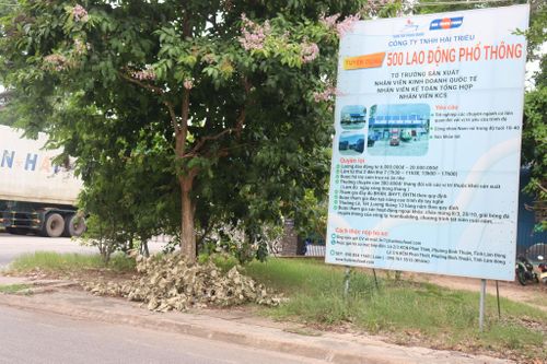 Doanh nghiệp tuyển dụng lao động nhằm mở rộng sản xuất - kinh doanh. Ảnh minh họa