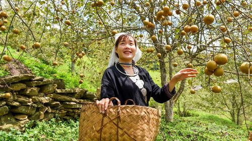 Chị Đàng Thị Hà, thôn Khâu Tràng cho biết, năm nay được mùa lê, có đông khách du lịch đến trải nghiệm.