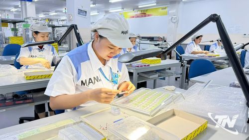 Công ty TNHH Mani Hà Nội hiện có thị trường tiêu thụ sản phẩm ở 145 quốc gia và vùng lãnh thổ.