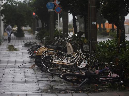 Những chiếc xe đạp bị đổ nằm la liệt trên đường phố sau khi bão Bavi đi qua Ishigaki, Nhật Bản. Nguồn: Reuters.