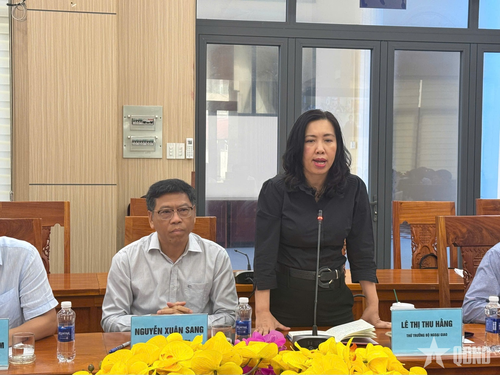 Thứ trưởng Bộ Ngoại giao Lê Thị Thu Hằng phát biểu tại buổi làm việc.