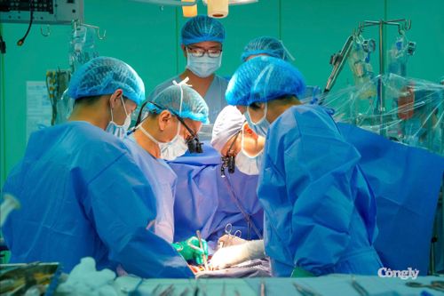 Ê-kíp phẫu thuật tập trung cao độ trong quá trình thực hiện ca ghép tim.