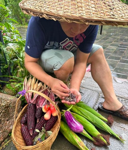 Nam ca sĩ ngồi thấp xuống nhặt từng quả sim rừng nhỏ xíu trên tay. Trước mặt anh là cả một "mâm" nông sản tự trồng: ngô tím, roi đỏ, cà tím và đậu bắp xanh mướt. Anh rất trân trọng thành quả lao động của mình.