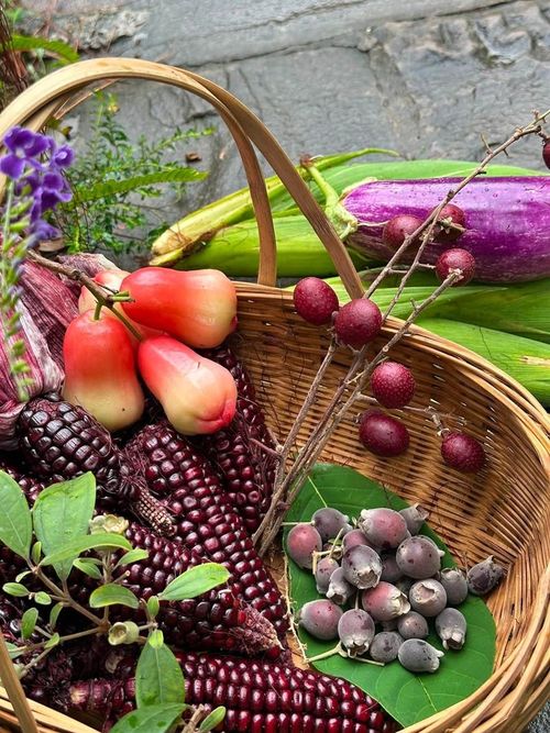 Chiếc giỏ tre đầy ắp sắc tím là "chiến lợi phẩm" sau buổi thu hoạch: ngô tím, roi đỏ mọng, cà tím dài và cả chùm sim rừng hái trên đồi. Đây là nguồn thực phẩm sạch anh dành cho bữa cơm gia đình mỗi cuối tuần.