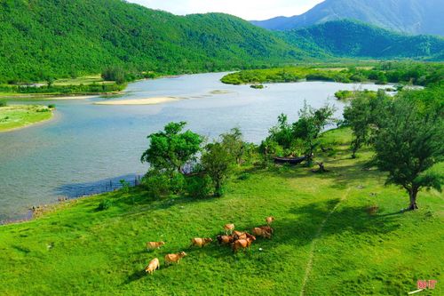 Giữa không gian ấy, những bãi cỏ xanh mướt và con kênh nhỏ lặng lẽ chảy ra biển càng làm khung cảnh thêm mềm mại, bình yên.