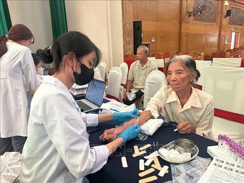 Ở tuổi 76, bà Phạm Thị Ao, thôn Đông Phú, xã Vĩnh Thành hi vọng tìm được bố đẻ và người anh trai đều hy sinh trong kháng chiến cứu nước.