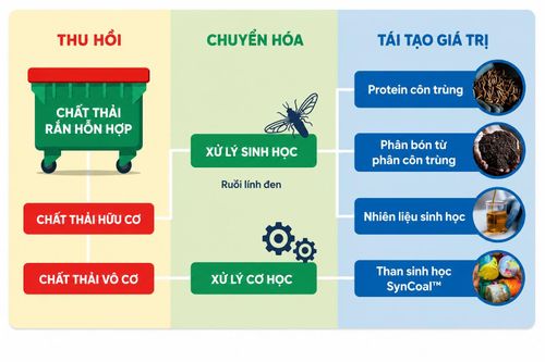 Quy trình ARC-V Process - công nghệ chuyển hóa sinh học bằng ấu trùng ruồi lính đen được chuyển giao từ Australia về Việt Nam. Ảnh chụp màn hình