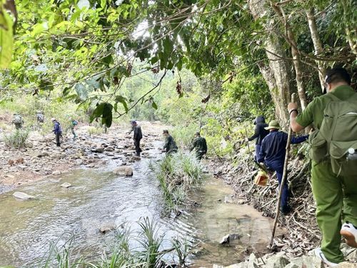 Đội K51 Đắk Lắk và các lực lượng băng rừng, vượt suối tìm kiếm, quy tập hài cốt liệt sĩ trong Chiến dịch 500 ngày đêm. Ảnh: TTXVN phát