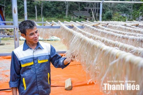 Củ dong riềng được chế biến thành sợi miến.