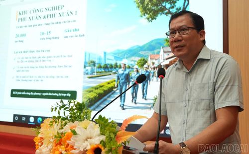 Ông Trần Duy Chinh đại diện Công ty Cổ phần công nghiệp Linh Linh giới thiệu thông tin dự án.