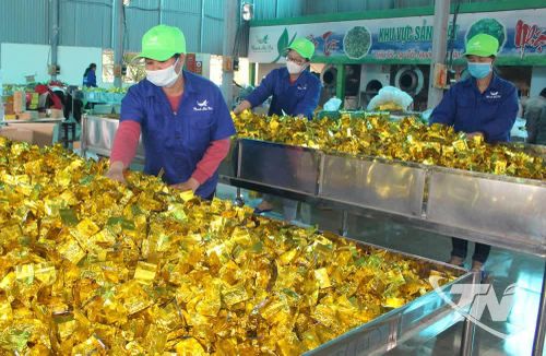 Chi bộ HTX chè La Bằng là trung tâm đoàn kết, định hướng hoạt động, góp phần nâng cao hiệu quả lãnh đạo, điều hành và xây dựng hợp tác xã phát triển bền vững.