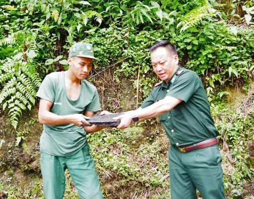 Đại tá Trương Minh Đức nhấn mạnh, việc phát triển mô hình trồng sâm không chỉ tạo thêm sinh kế, góp phần nâng cao thu nhập cho người dân vùng biên mà còn tăng cường sự gắn kết giữa lực lượng Bộ đội Biên phòng với đồng bào các dân tộc, xây dựng thế trận lòng dân vững chắc.