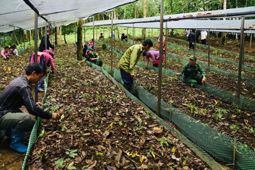 Sự quan tâm kịp thời là động lực to lớn để cán bộ, chiến sĩ Bộ đội Biên phòng cùng nhân dân Lai Châu đồng lòng vượt khó, đưa mô hình kinh tế biên cương phát triển hiệu quả.