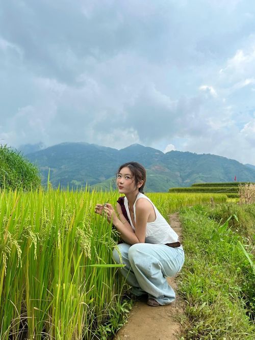  Khung cảnh mùa lúa ở Xím Vàng được du khách ghi lại hồi tháng 9/2025. Ảnh: @dee.koiiiiiiiiii. 