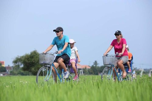 Khách quốc tế đạp xe qua những cánh đồng ven đô
