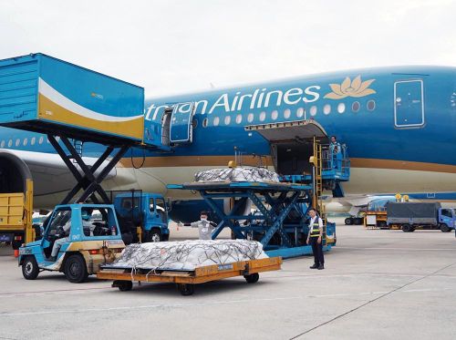 Thi thể các nạn nhân được đưa lên chuyến bay lúc 18 giờ về lại quê nhà Ấn Độ theo nguyện vọng của gia đình. Ảnh: Sở Ngoại vụ TP.HCM
