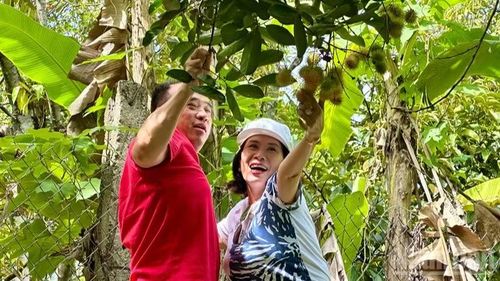 Sự chân thành của người nông dân và cảm giác bình yên mà thiên nhiên nơi đây đem lại cho du khách nhiều ấn tượng về một vùng quê yên bình khi đến trải nghiệm mùa quả chín tại xã Lâm Sơn.